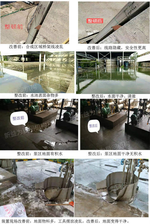 項目碩果累累 項目碩果累累